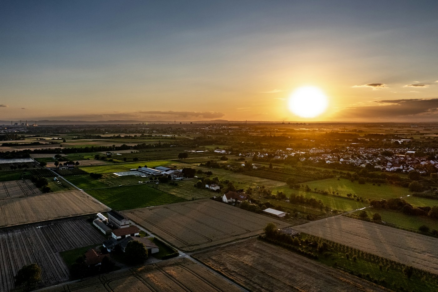 Agriculture, Animals & Natural Resources case studies