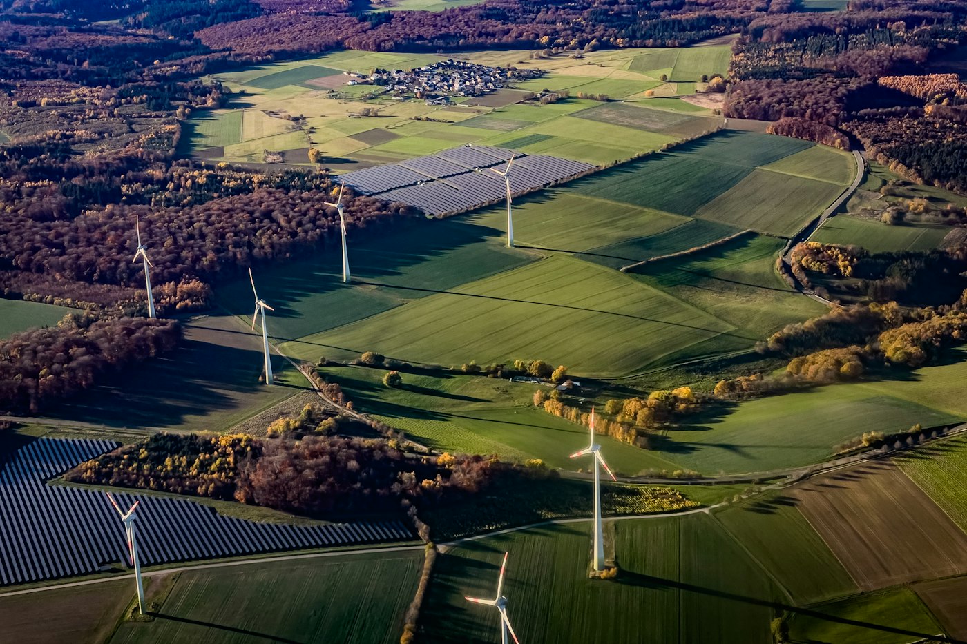Energy, Utilities & Environment case studies