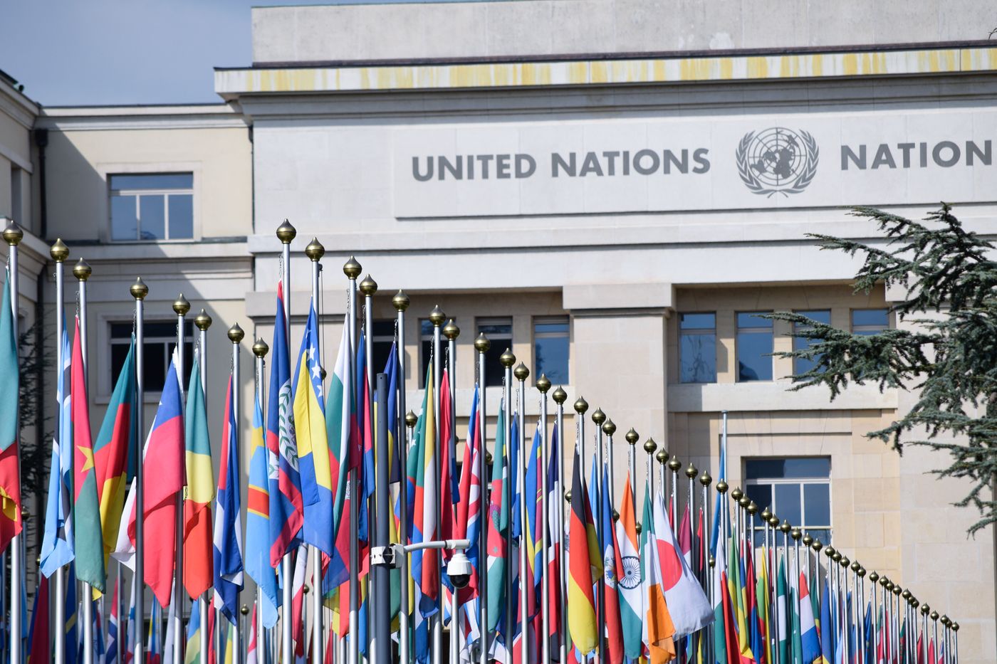 International Organizations case study