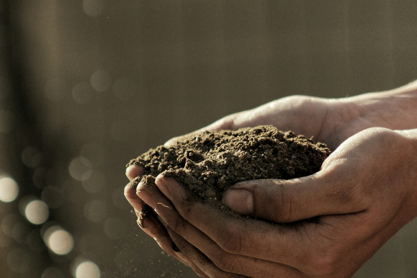 Organic Farming case study